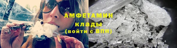 дживик Анжеро-Судженск