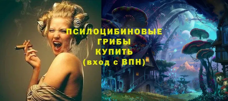 Псилоцибиновые грибы ЛСД  Тырныауз 